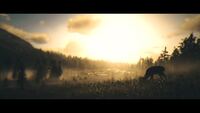 Red Dead Redemption 2_20181229142456